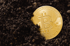 How to Make Money with Bitcoin and Crypto